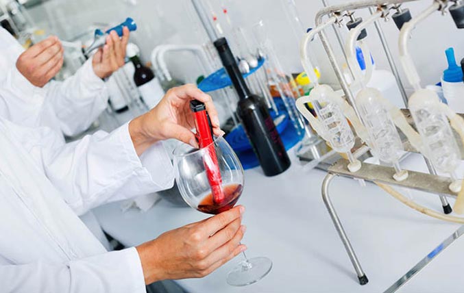 Proizvođač vina koji testira vino u laboratoriju